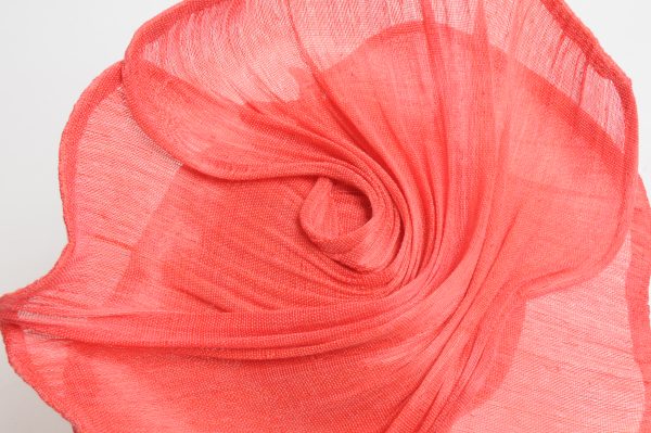 Close-up detail of a mandarin hat on a plant.